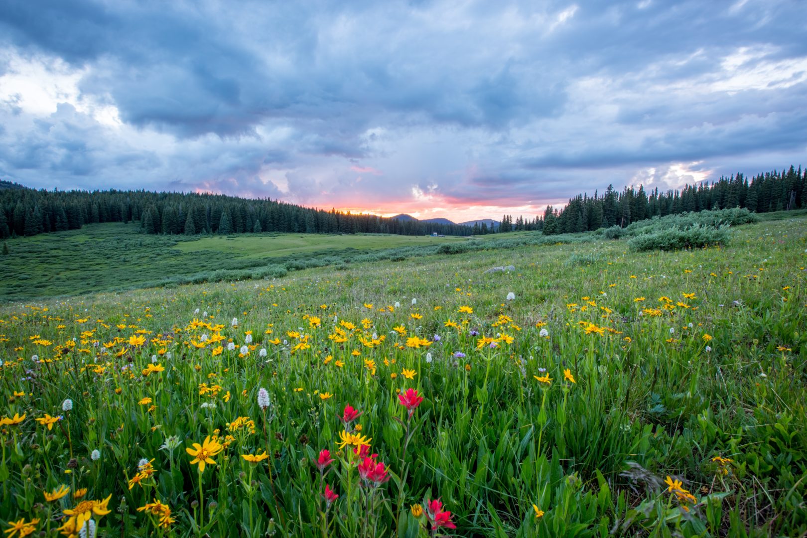 countryside sunset