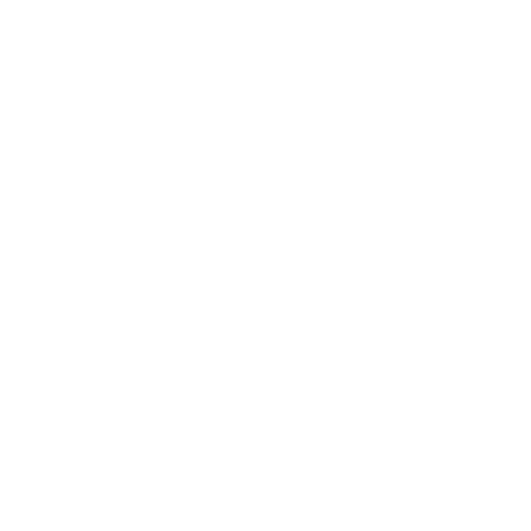 Accessory Icon